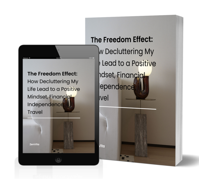 The Freedom Effect: How To Declutter Your Life (Financial Independence & a Positive Mindset)
