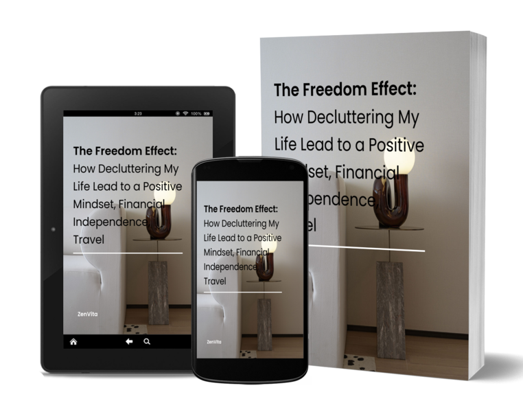 The Freedom Effect: How To Declutter Your Life (Financial Independence & a Positive Mindset)