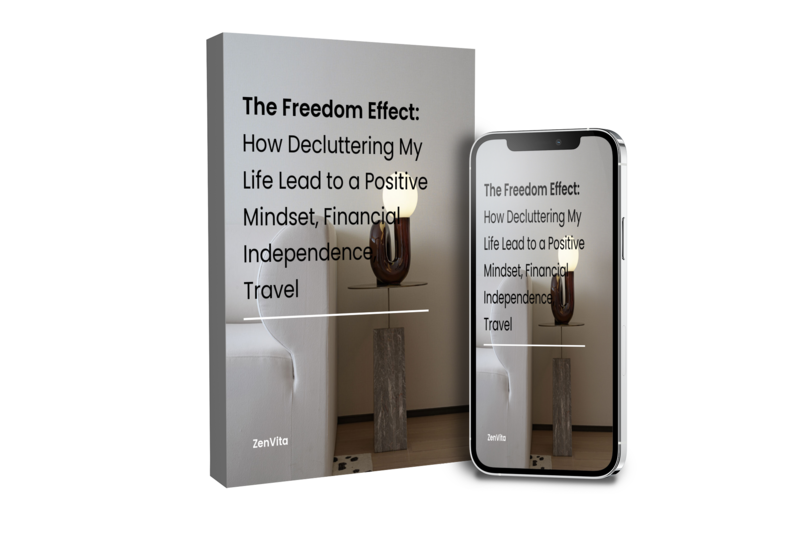 The Freedom Effect: How To Declutter Your Life (Financial Independence & a Positive Mindset)